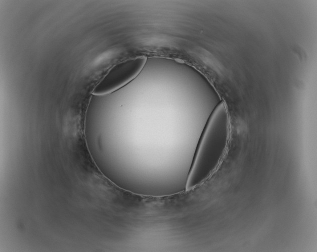 X0000113960965200910091626