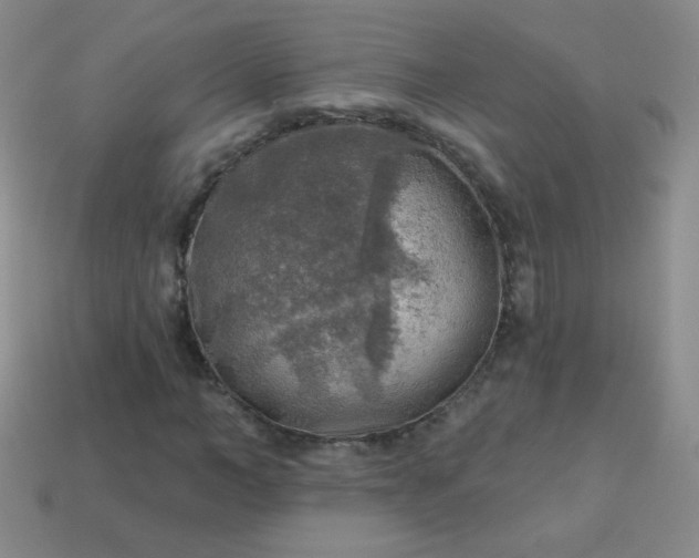 X0000113960966200910091626