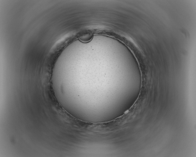 X0000113960967200910091626