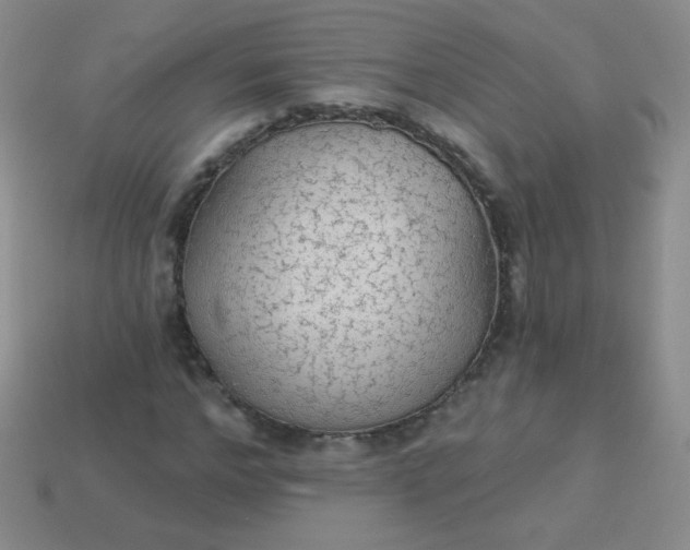 X0000113960968200910091626