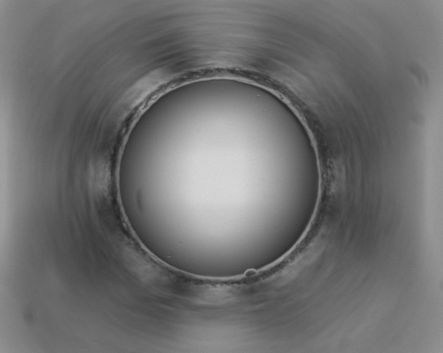 X0000113960969200910091626