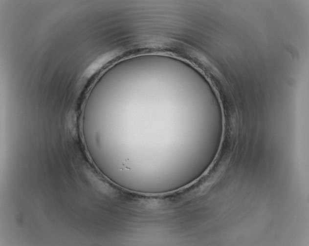 X0000113960970200910091625