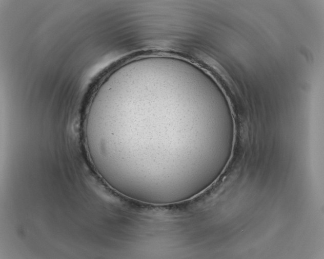 X0000113960971200910091625