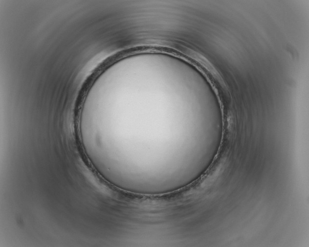 X0000113960972200910091625