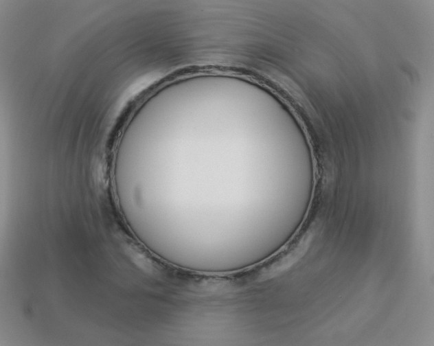 X0000113960974200910091625