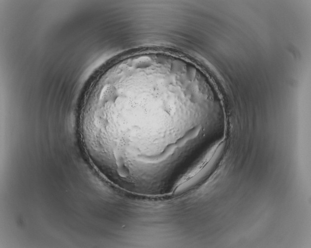 X0000113960975200910091625