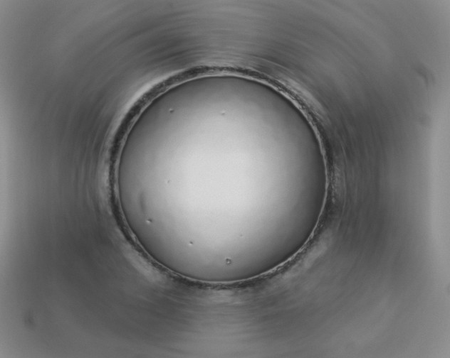 X0000113960976200910091625