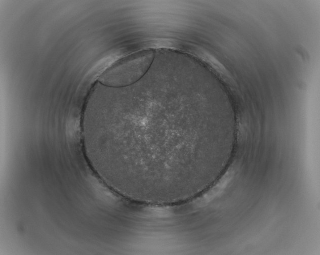 X0000113960977200910091625