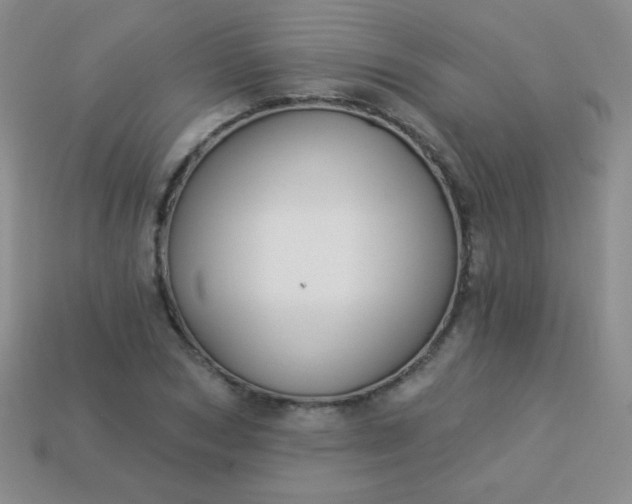 X0000113960978200910091625