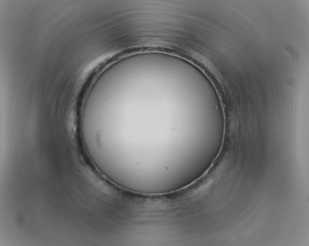 X0000113960979200910091625