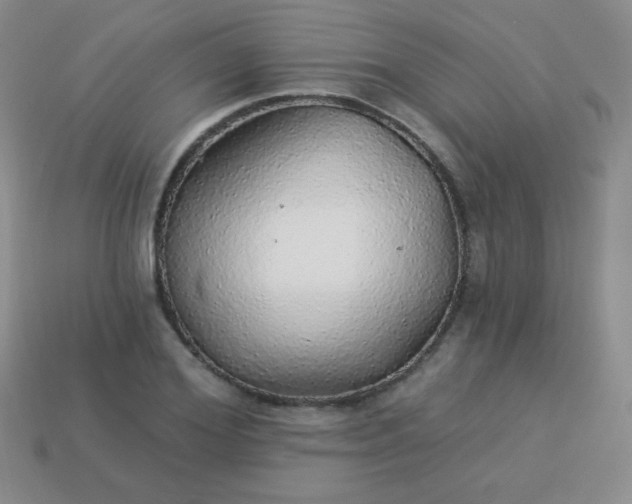 X0000113960980200910091625