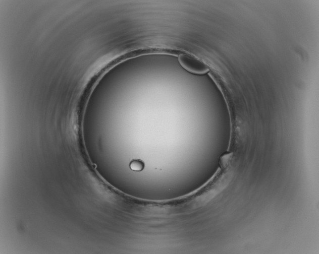 X0000113960981200910091625