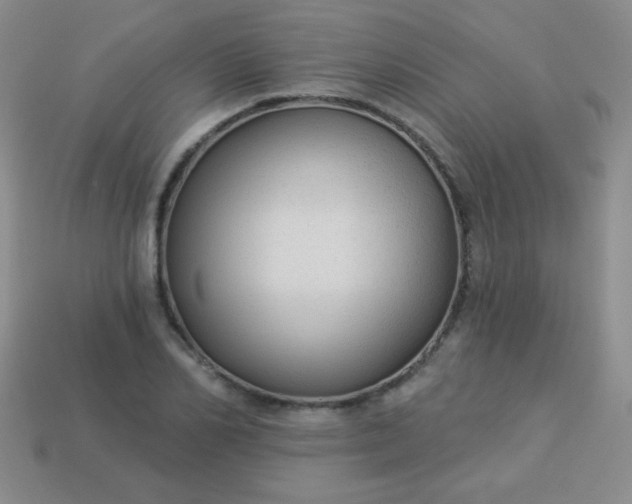 X0000113960982200910091625