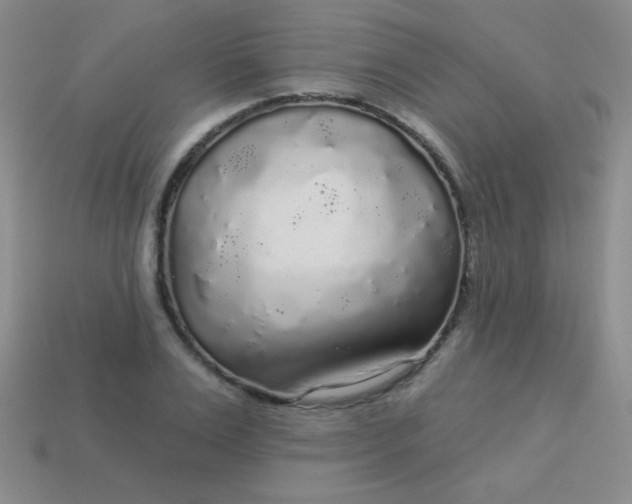 X0000113960983200910091625