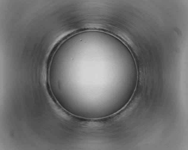 X0000113960984200910091625