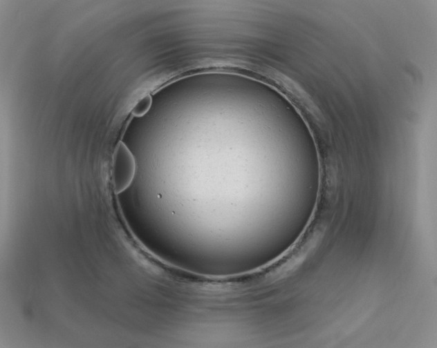 X0000113960985200910091625