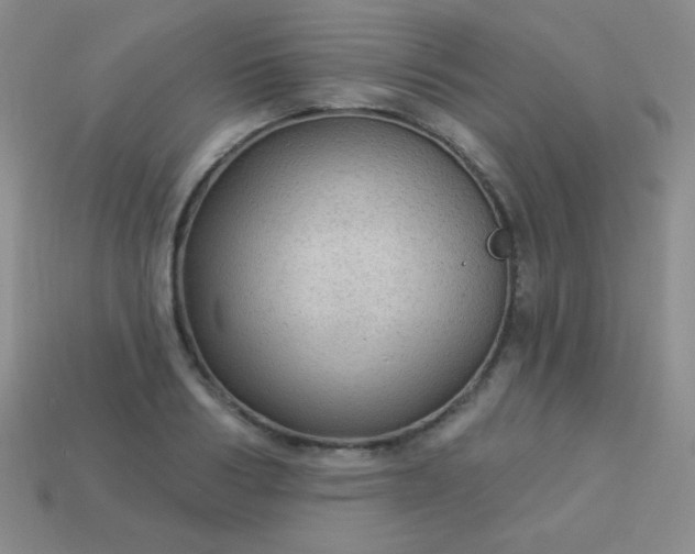 X0000113960986200910091625