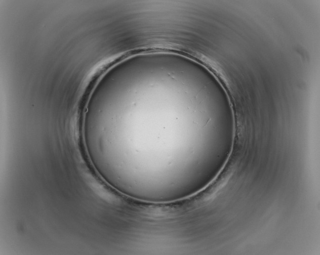 X0000113960987200910091625