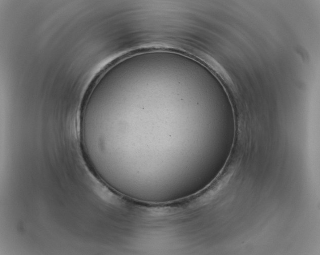 X0000113960988200910091625