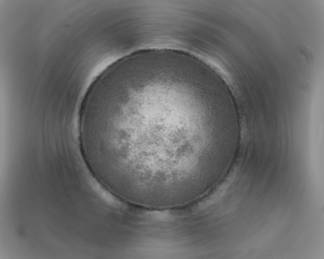 X0000113960990200910091625