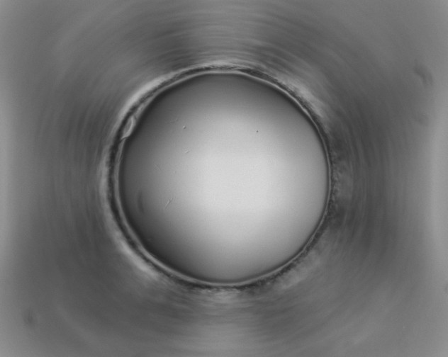 X0000113960991200910091625