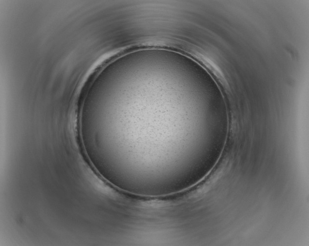 X0000113960992200910091625