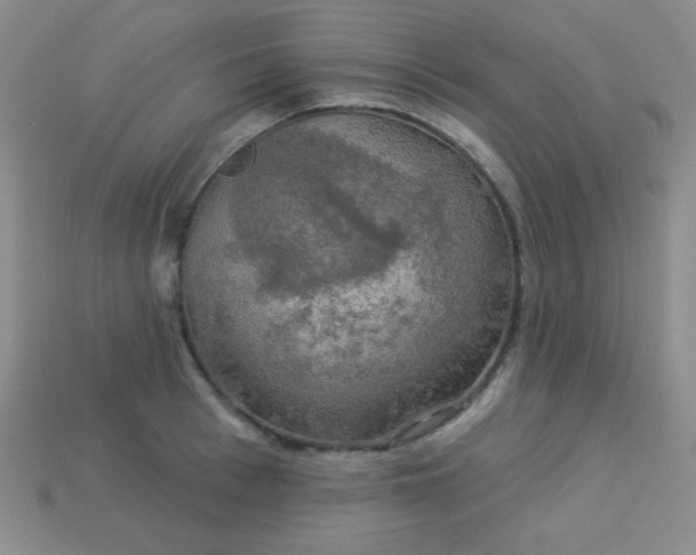 X0000113960993200910091625