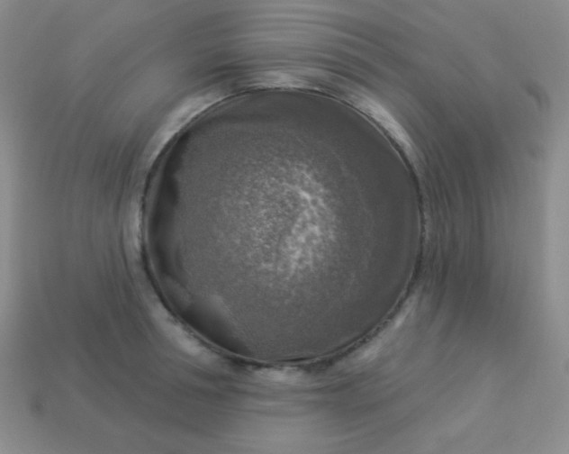 X0000113960994200910091625