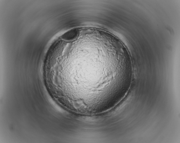 X0000113960995200910091625