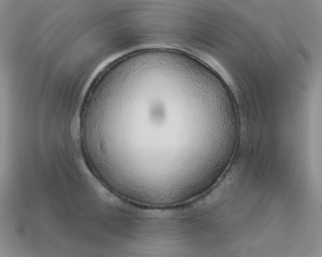 X0000113960996200910091625