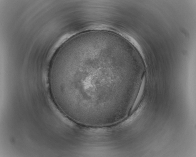 X0000113960997200910091625