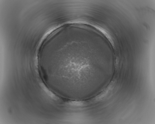 X0000113960998200910091625