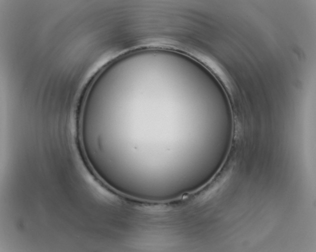 X0000113960999200910091625