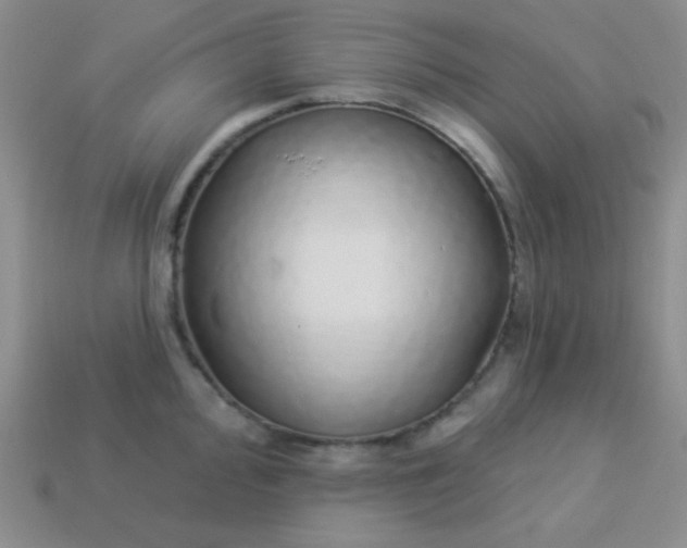 X0000113961000200910091625