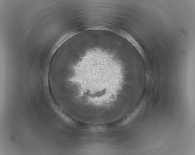 X0000113961002200910091625