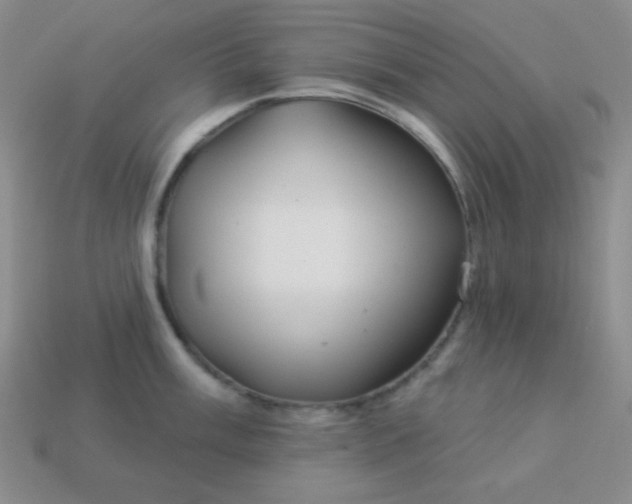 X0000113961003200910091625