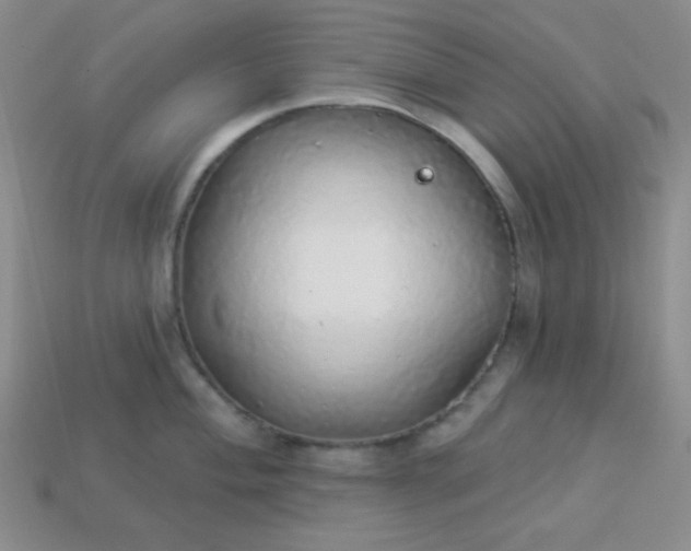 X0000113961004200910091625