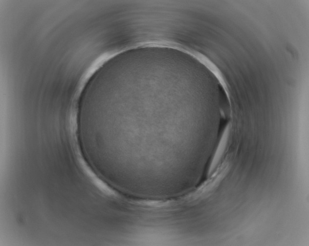 X0000113961005200910091625