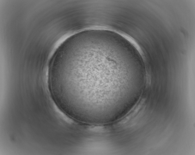 X0000113961006200910091625