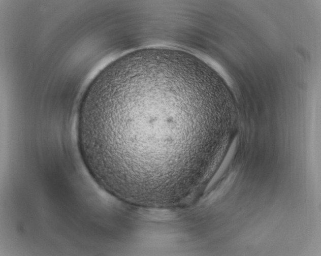 X0000113961007200910091625