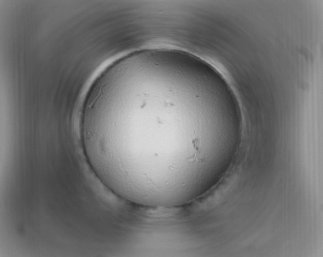 X0000113961008200910091625