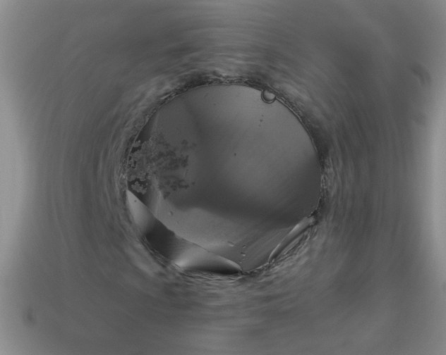 X0000113961009200910091624