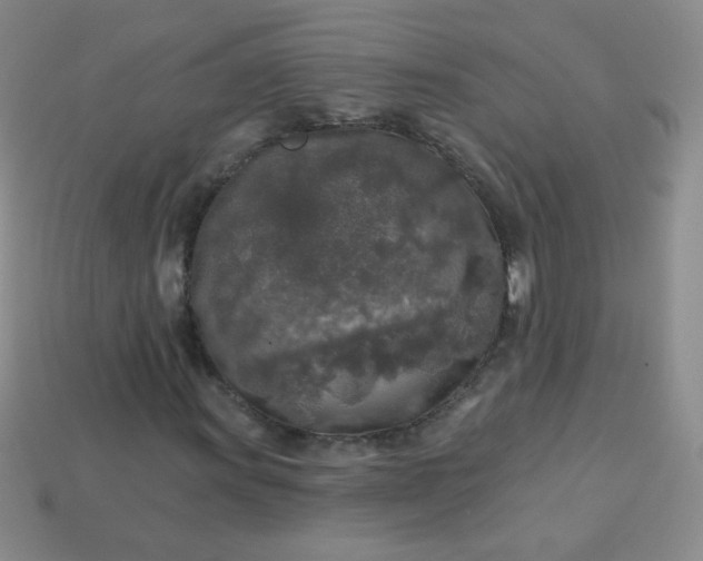 X0000113961011200910091624