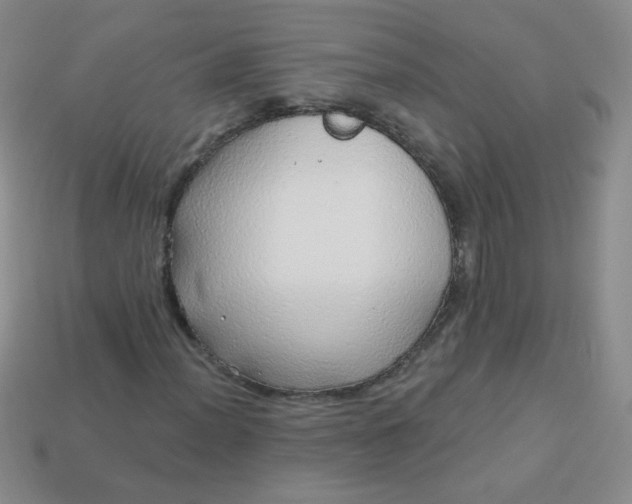 X0000113961012200910091624