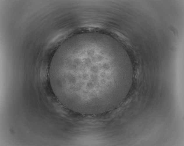 X0000113961014200910091624