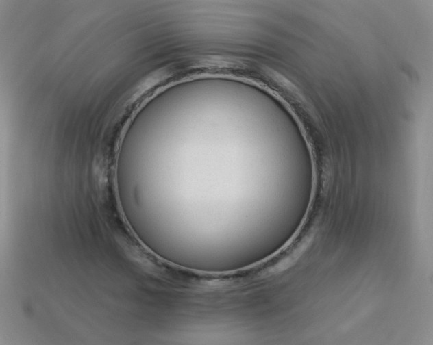 X0000113961017200910091625