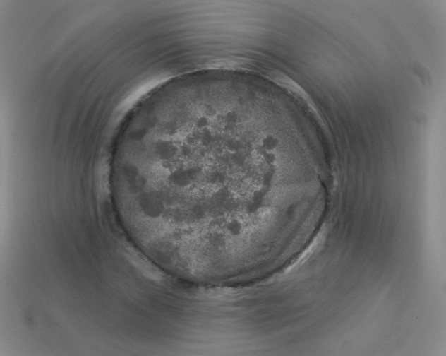 X0000113961019200910091625