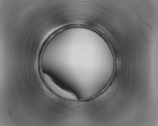 X0000113961020200910091625