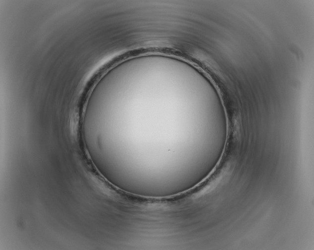 X0000113961021200910091625