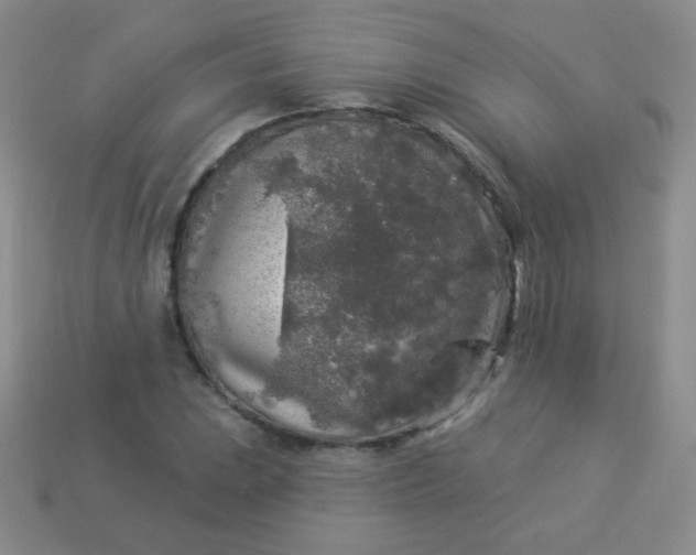 X0000113961023200910091625